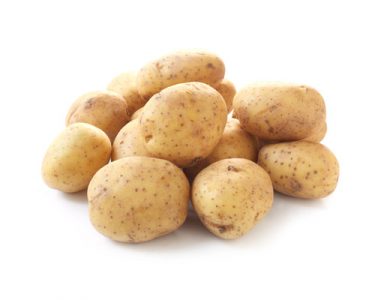 Bio-Kartoffeln vom Biohof Klauser in Tacherting